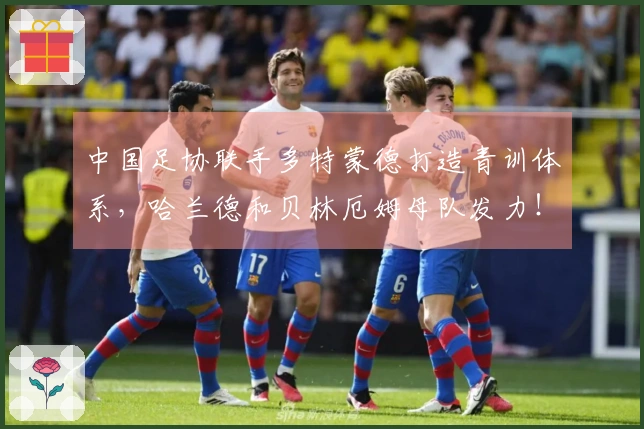 中国足协联手多特蒙德打造青训体系,哈兰德和贝林厄姆母队发力!